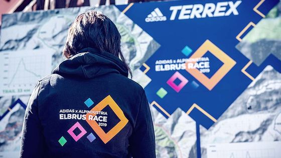 толстовки с вышивкой логотипа